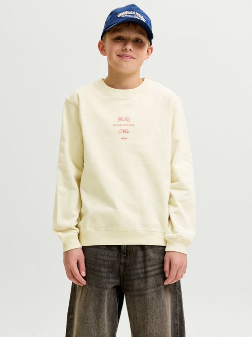Hovedbilde Jack & Jones Menton Sweat Crew Nack - Antiqua ...